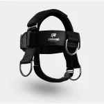 Head Harness